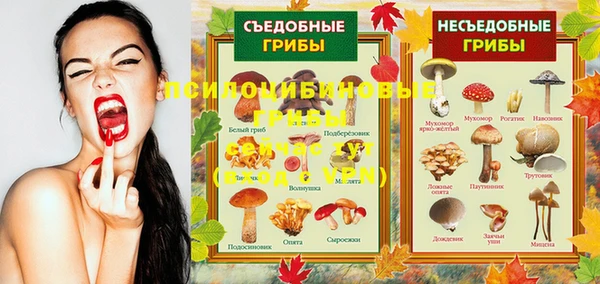 MESCALINE Нязепетровск