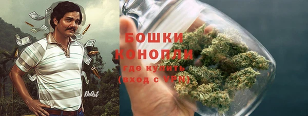 МДМА Бикин