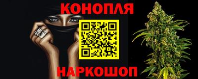 сатива Аргун