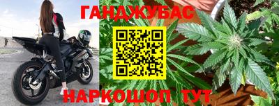 apvp Гагарин