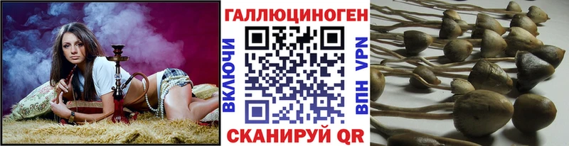 Псилоцибиновые грибы прущие грибы  дарнет шоп  Корсаков 